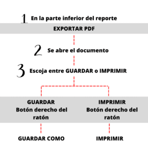 como imprimir la hoja de repuve