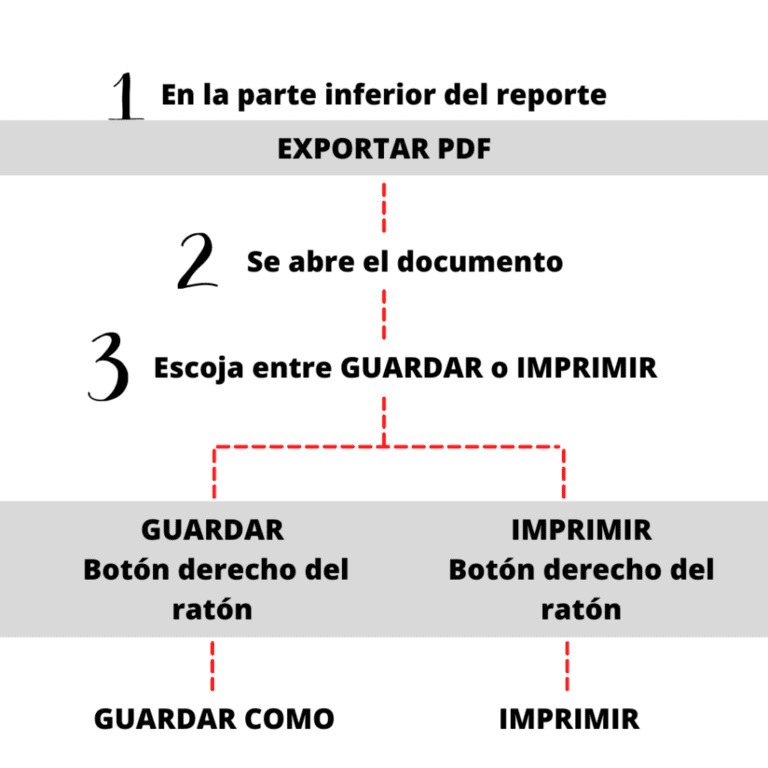como imprimir la hoja de repuve