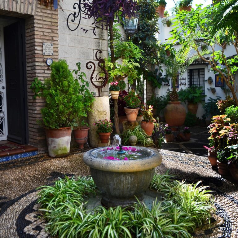 como prepararse para subir a patios