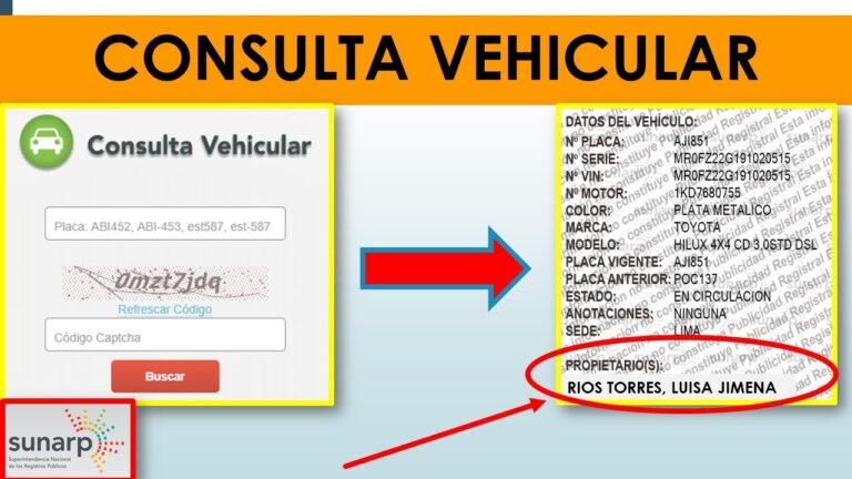 como ver quien es el propietario de un vehiculo