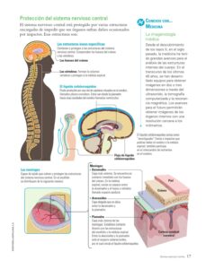 cuales son las estructuras de proteccion