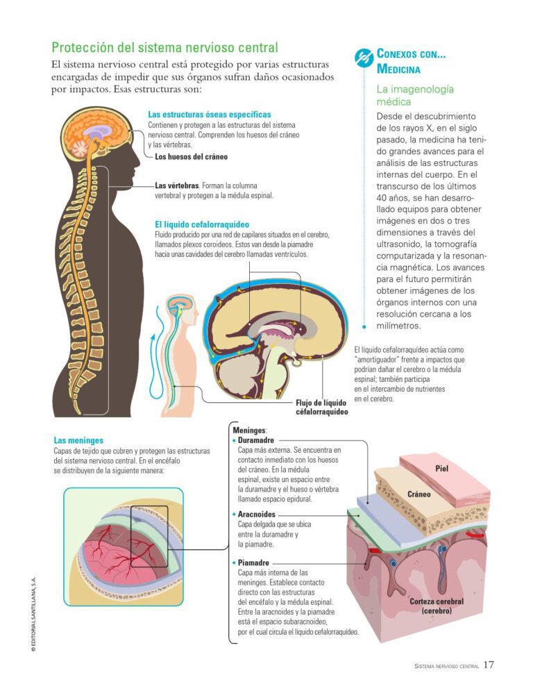 cuales son las estructuras de proteccion
