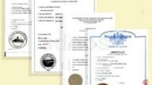 cuanto tiempo se tarda en apostillar un documento en espana