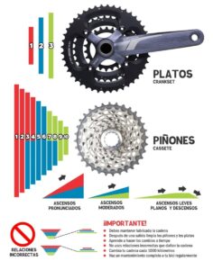 cuantos dientes tiene el pinon mas pequeno