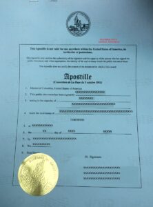 que documentos te dan al terminar la universidad