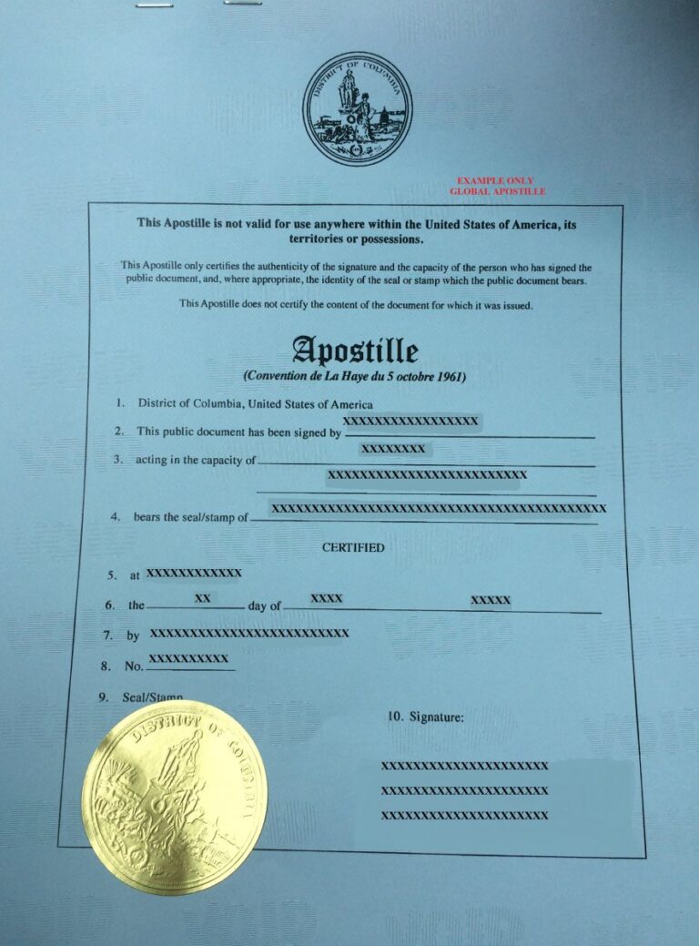 que documentos te dan al terminar la universidad