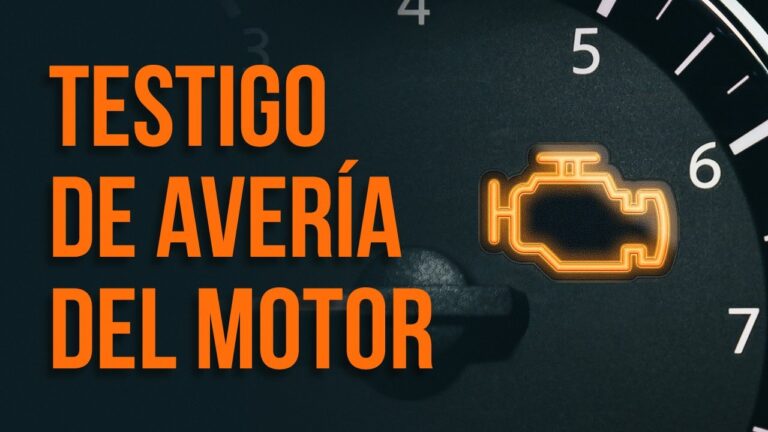 que significa el testigo del mot